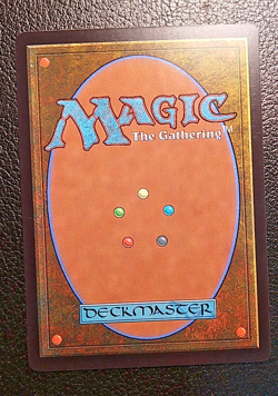 MTG Castle Garenbrig Throne of Eldraine 240/269 Regular Rare - Image 3