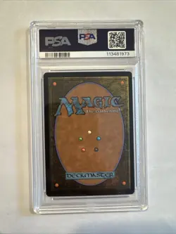 2025 MTG Magic The Gathering SpongeBob Secret Lair Forest Foil #1943 PSA 9! - Image 2