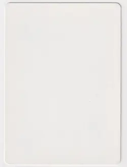 Stasis Proof 4th Edition Artist Fay Jones 1995 WOTC MTG LP Magic Vintage VHTF - Image 2