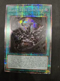 Yugioh Black Rose Garden DOOD-EN055 Starlight Rare 1st Edition NM - Image 1