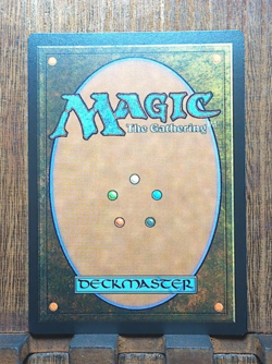 MTG Don't Move (FOIL Borderless) Universes Beyond Jurassic World Collection NM❤ - Image 3