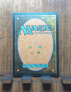 MTG Don't Move (FOIL Borderless) Universes Beyond Jurassic World Collection NM❤ - Image 4