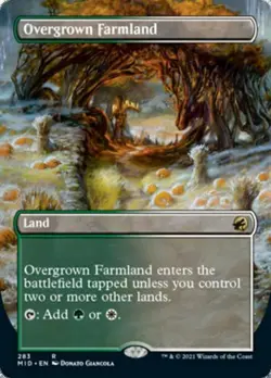Overgrown Farmland (Borderless) - Near Mint MTG Innistrad: Midnight Hunt - Image 1
