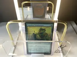 MTG Edge of Eternities *FOIL* U Eumidian Terrabotanist #0180 NM - Image 1