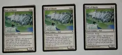 MTG Magic The Gathering Wall of Shards Coldsnap Regular - Image 1