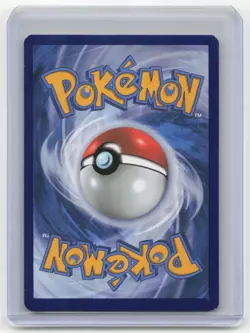 2021 Pokemon Greninja SWSH Black Star Promos #SWSH144 Near Mint - Image 2