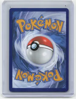 2023 Pokemon Charmander SVP Black Star Promos #044 Near Mint - Image 2