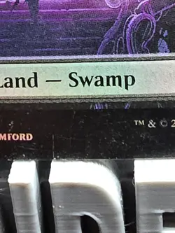FOIL FULL ART Swamp - 0274 - Duskmourn - DSK - Basic Land - MtG - Magic - Image 3