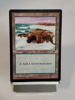 MTG Island Tempest Regular Land Magic - Image 1