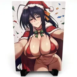 High School DxD Akeno Himejima Sexy Hot Anime Waifu Girl Goddess Story Art Card - Image 1