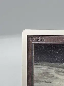 MTG TUNDRA #2 Unlimited Edition Regular NM/MT+ Rare Magic The Gathering - Image 5