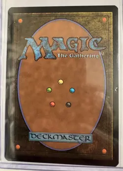 MTG, Spider-Punk (#207), Marvel's Spider-Man, Foil, NM Borderless Rare - Image 2