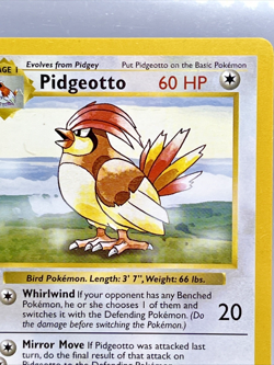 Vintage Base Set Shadowless Pidgeotto #22 1999 WOTC Authentic Pokemon Card NM - Image 2