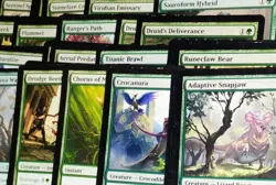 Wayfinder Evolve Deck ~ Mono Green ~ Magic: The Gathering ~ MTG - Image 1