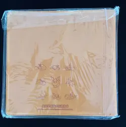 2024 Pokemon Chinese Eevee GX Gift Box Flareon Card Binder Exclusive Sealed J70 - Image 2