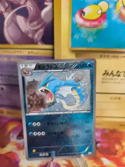 Pokemon Karte Card Holo Gyarados Garados Garchomp Half Deck Reverse japanese VG- - Image 1