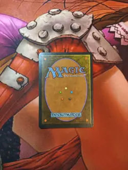 Mtg Piracy Portal Second Age LP - Image 2
