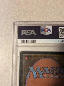 Magic the Gathering MTG Vampire Bats from Legends in a PSA 9 !! - Image 5