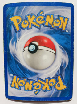 Poliwhirl Pokemon Card WOTC 88/144 Skyridge Set Rare Non-Holo Vintage MP - Image 2