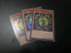3x Yugioh Playset Radiant Typhoon Meghala DOOD-EN012 Super Rare 1st Ed Near Mint - Image 1