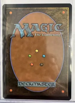 MTG, Spider-Punk (#207), Marvel's Spider-Man, Non-Foil, NM Borderless Rare - Image 2