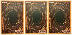 3 x LED4-EN032 Black Garden - Common 1st Edition Near Mint YuGiOh Cards - Image 2