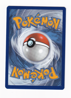 Echoing Horn 136/198 Chilling Reign 2021 Reverse Holo Pokemon Card Near Mint NM - Image 2