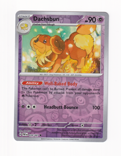 Dachsbun 039/091 Paldean Fates 2024 Reverse Holo Pokemon Card Near Mint NM - Image 1