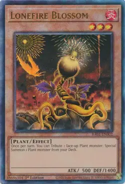 Yugioh 25th Anniversary Rarity Collection RA01 Ultimate Rare 1st Edition MINT - Image 3