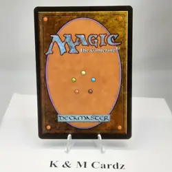 MTG - Alliances - Lat-Nam's Legacy (Scroll) - Common - LP - Playset x4 - Image 3