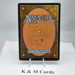 MTG - Alliances - Martyrdom - Common - LP - Image 3