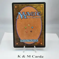 MTG - Alliances - Errand of Duty (Page Holding Sword) - Common - LP - Image 3