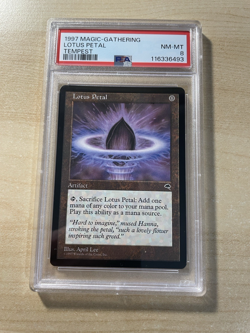 PSA 8 - Near Mint to Mint - Lotus Petal Tempest Regular - Image 1