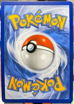 🔥 MINT + Shuckle Illustration Rare Holo 136/132 Pokemon Mega Evolution English - Image 4