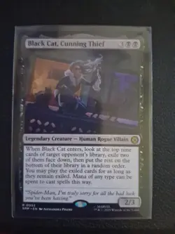 Mtg Black Cat, Cunning Thief - Image 1