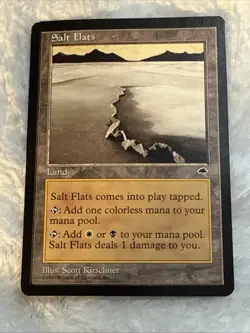 MTG Magic the Gathering Salt Flats (324/350) Tempest NM+++ - Image 1