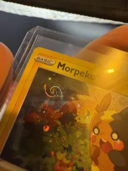Pokemon TCG - Promo - Morpeko SWSH116 - Cosmos FULL SWIRL Holo - Image 3