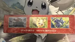 Pokemon Card Game Sword & Shield - Ichigeki Master (Single Strike Master) 4521329306148 - Image 5