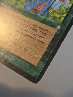 MTG Nature's Lore HP Ice Age - Image 3