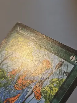 MTG Nature's Lore HP Ice Age - Image 4