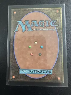 MTG Bloodbraid Elf Secret Lair 30th Anniversary Countdown Kit Regular #2009 NM - Image 2