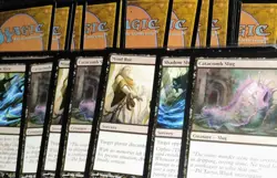 Catacomb Mind Rot Deck ~ Mono Black ~ Magic: The Gathering ~ MTG - Image 1