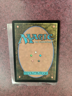 MTG Sword of Feast and Famine (Foil Etched) [Assassin Creed] Magic the Gathering - Image 2