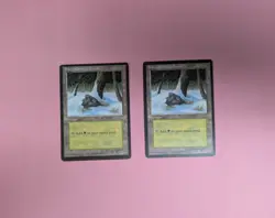 22 MTG Snow-Covered Lands (Ice Age) Light/Moderate Played Condition - Image 4