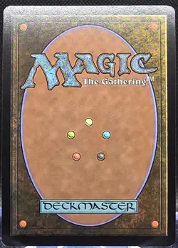 Plains #888 Secret Lair Drop Foil Rare - Image 2