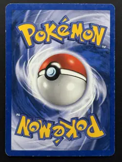 Delibird 05/64 Neo Revelation Holo Rare 1st Edition Pokemon TCG - HP - Image 2