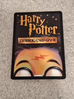 Madam Rolanda Hooch 13/80 - Harry Potter Trading Card Game TCG Nice! - Image 2