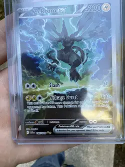 Pokemon TCG Zekrom EX SIR 166/086 Black Bolt English Pack Fresh - Image 3