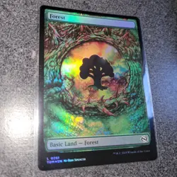 MTG - Forest (0291) Tarkir: Dragonstorm Set (Foil/New) - Image 2