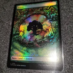 MTG - Forest (0291) Tarkir: Dragonstorm Set (Foil/New) - Image 3